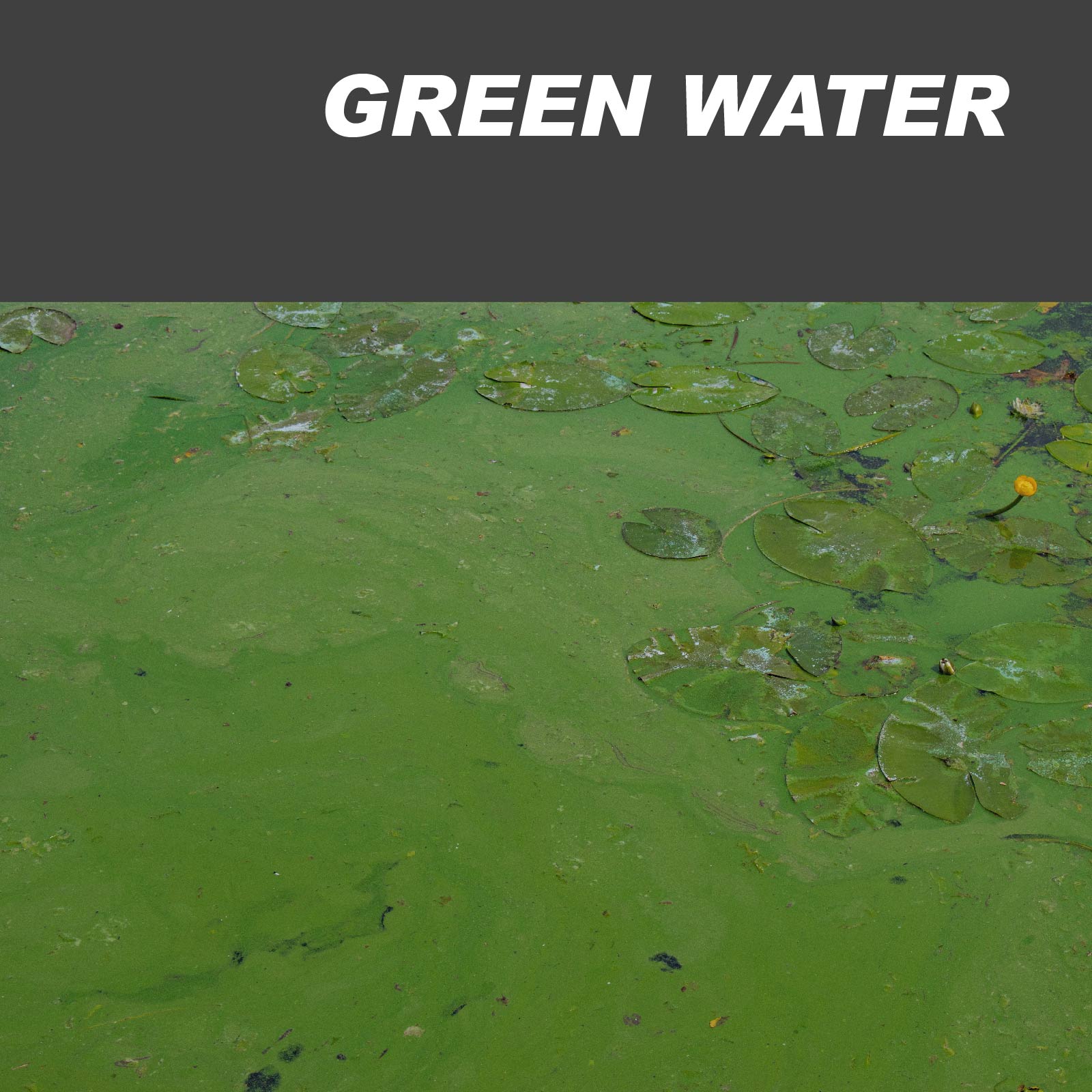 Green Water Treatment